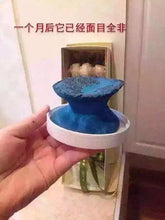 Load image into Gallery viewer, 【Bad Air】专业空气净化剂 14OZ 白宫御用